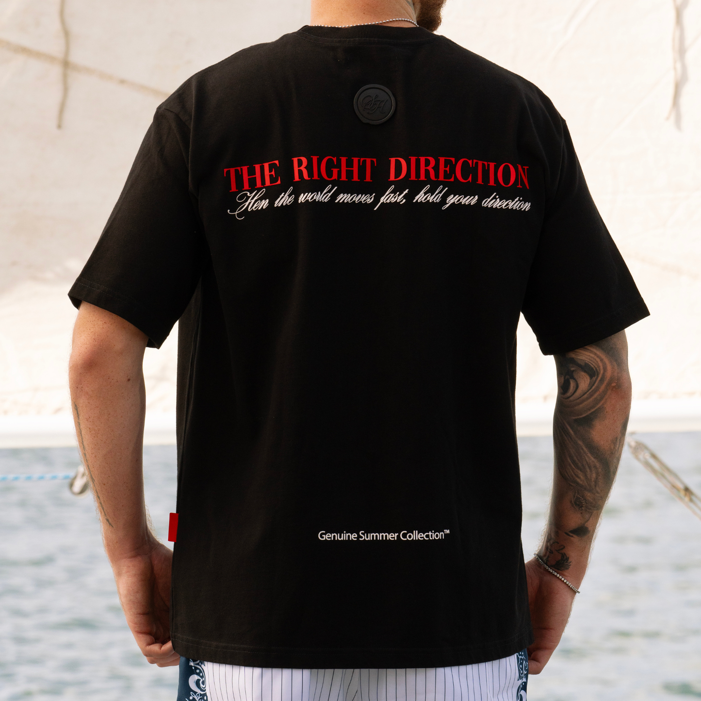 Camiseta The Horizon