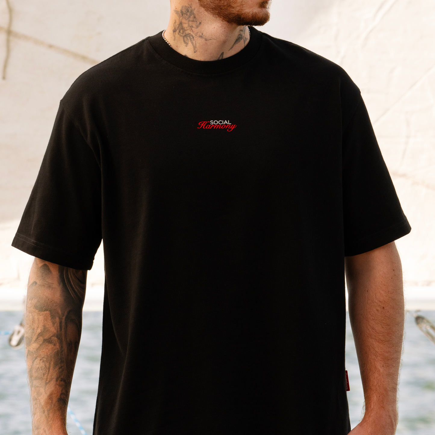 Camiseta The Horizon